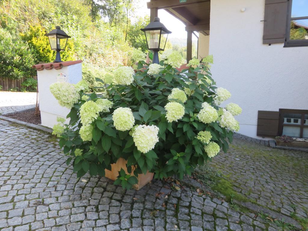 Apartment Hittenpichl *
